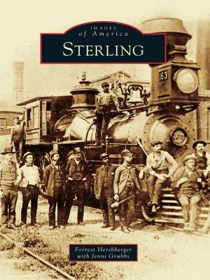 Cover of the book Sterling by Steve Lackmeyer