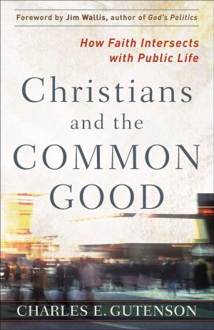 Cover of the book Christians and the Common Good by Dr. Linda Mintle