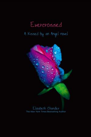 Cover of the book Evercrossed by Keith R. A. DeCandido