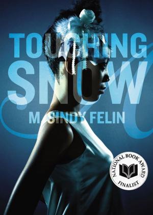 Cover of the book Touching Snow by Cynthia Voigt