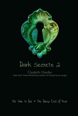 bigCover of the book Dark Secrets 2 by 