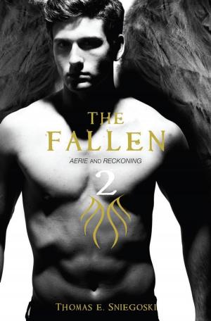 Cover of the book The Fallen 2 by Nancy Holder, Christopher Golden