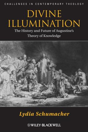 Cover of the book Divine Illumination by Julian Stone, William Fawcett