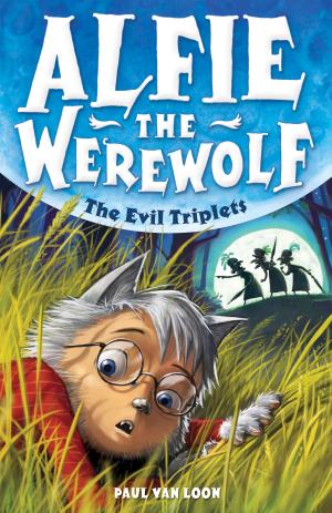 Cover of the book The Evil Triplets by Tracey Turner