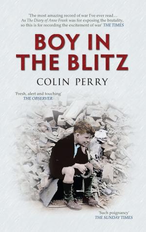 Book cover of Boy in the Blitz