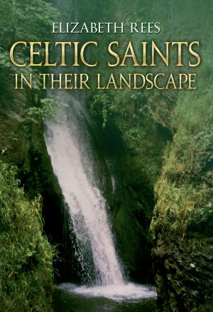 Cover of the book Celtic Saints In Their Landscape by Natalie Grueninger, Sarah Morris