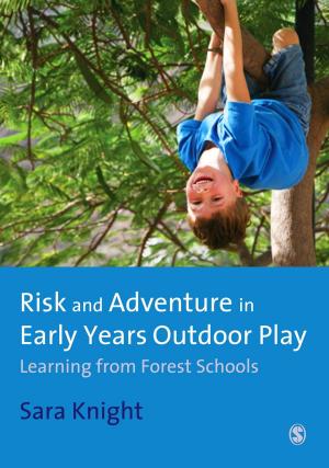 Cover of the book Risk & Adventure in Early Years Outdoor Play by Professor Terry Flew