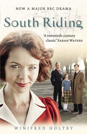 Cover of the book South Riding by Kathleen Gilles Seidel