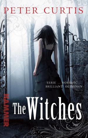 bigCover of the book The Witches by 