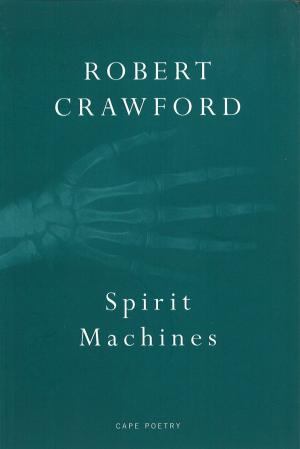 Cover of the book Spirit Machines by Victoria Glendinning