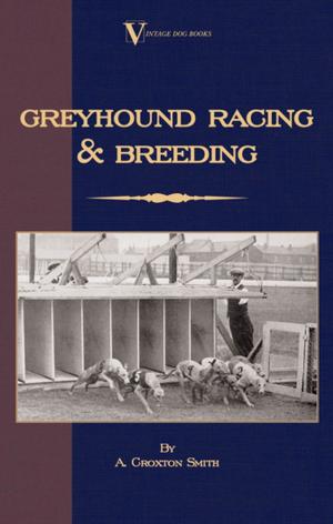 Cover of the book Greyhound Racing And Breeding (A Vintage Dog Books Breed Classic) by R. G. Collingwood