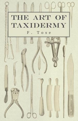 Cover of the book The Art of Taxidermy by Alfred Russel Wallace