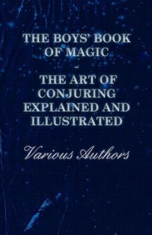 Cover of The Boys' Book of Magic: The Art of Conjuring Explained and Illustrated