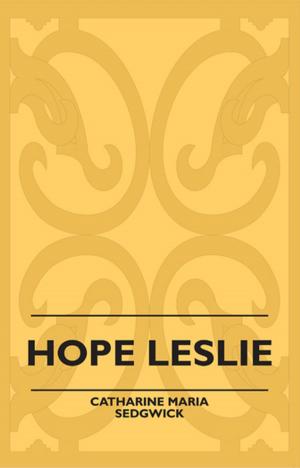 Cover of the book Hope Leslie by Edwin Brough