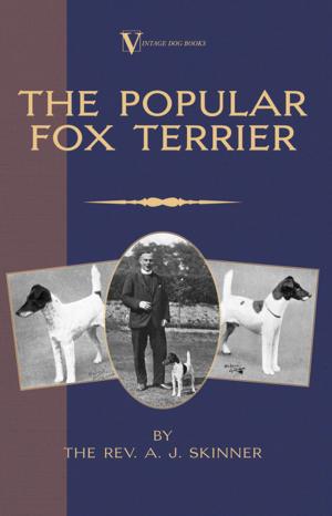 Cover of The Popular Fox Terrier (Vintage Dog Books Breed Classic - Smooth Haired + Wire Fox Terrier)
