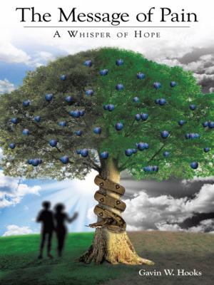 Cover of the book The Message of Pain by Eric Mounts