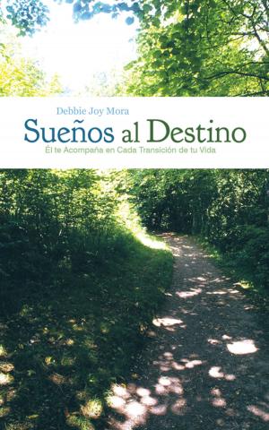 Cover of the book Sueños Al Destino by Sarah Armstrong
