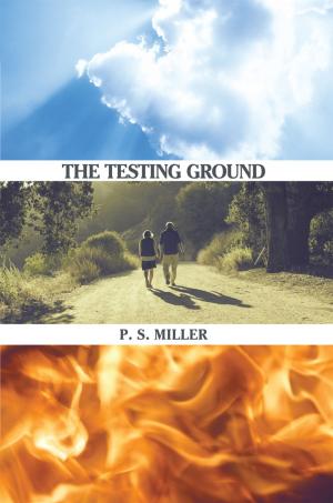 Cover of the book The Testing Ground by Matthew McHenry