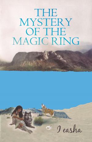 Cover of the book The Mystery of the Magic Ring by John Rykken