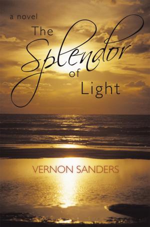 Cover of the book The Splendor of Light by Mark Morey