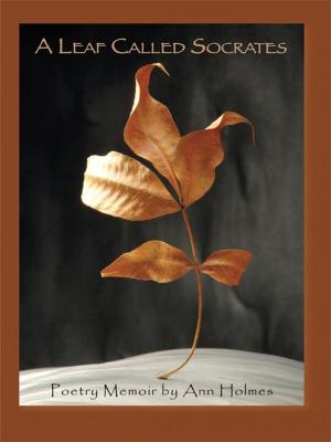 Cover of the book A Leaf Called Socrates by Hal Levey