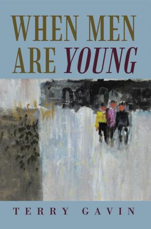 Cover of the book When Men Are Young by T. Mara Jerabek
