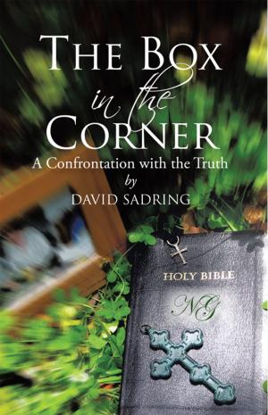 Cover of the book The Box in the Corner by Trenlin Hubbert