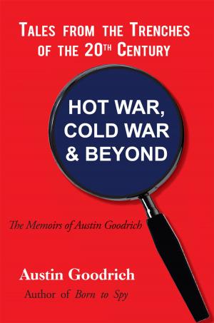 Cover of the book Hot War, Cold War & Beyond, Tales from the Trenches of the 20Th Century by David T Williams