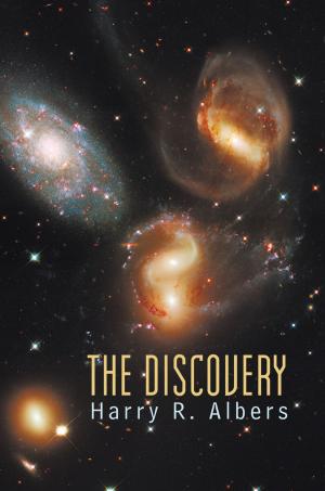 Cover of the book The Discovery by B.A. Paris