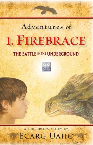 Cover of the book Adventures of I. Firebrace by Robert Belenky