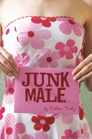 Cover of the book Junk Male by Jason Arnold Becker