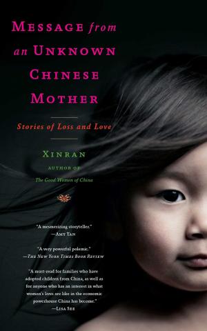 Cover of the book Message from an Unknown Chinese Mother by Daniel Donnelly