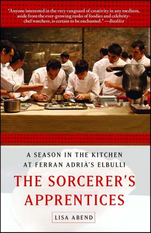 Cover of the book The Sorcerer's Apprentices by Kelli Harding, M.D., M.P.H