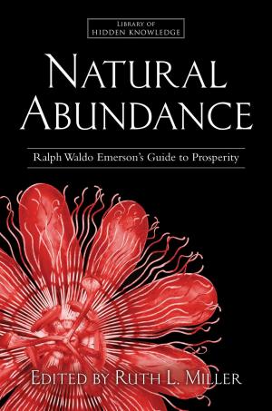 Cover of the book Natural Abundance by Betsy Myers, Warren Bennis, John David Mann