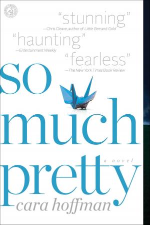 Cover of the book So Much Pretty by Richard Louv