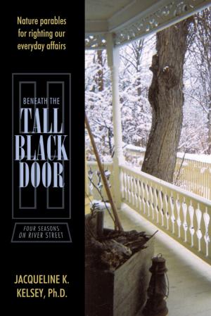 Cover of the book Beneath the Tall Black Door by Tracey H. Steffek