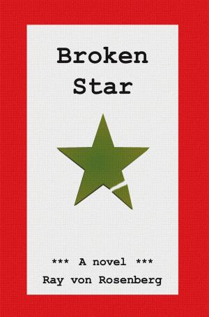 Cover of the book Broken Star by Mary Lou Tutt