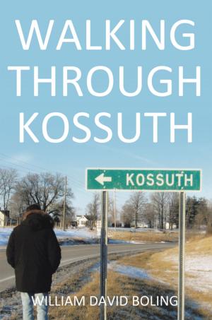 Cover of the book Walking Through Kossuth by Sara (Dennis) Schroeder