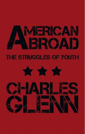 Cover of the book American Abroad by John Headx
