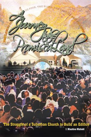 Cover of the book A Journey to the Promised Land by James E. Campbell