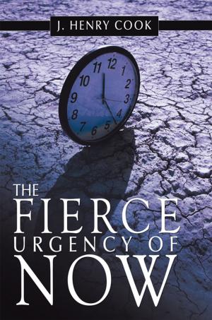 Cover of the book The Fierce Urgency of Now by Gil T. Engelke