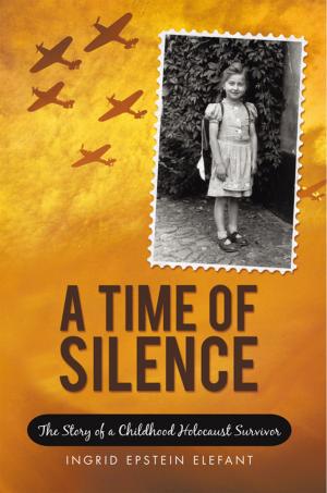 Cover of the book A Time of Silence by Farokh RustomJi Kharas