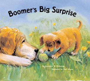 Cover of the book Boomer's Big Surprise by Meg Mateo Ilasco, Cat Seto