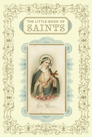Cover of the book The Little Book of Saints by Mark Cotta Vaz