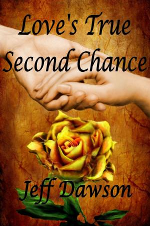 Book cover of Love's True Second Chance