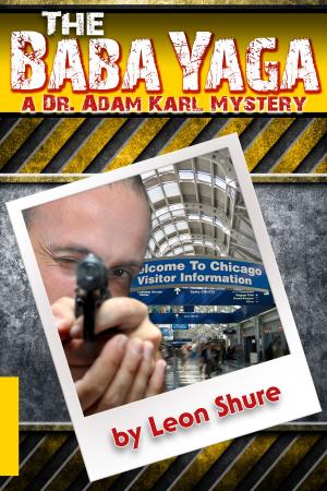 Cover of the book The Baba Yaga, a Dr. Adam Karl Mystery by Julien Ayotte