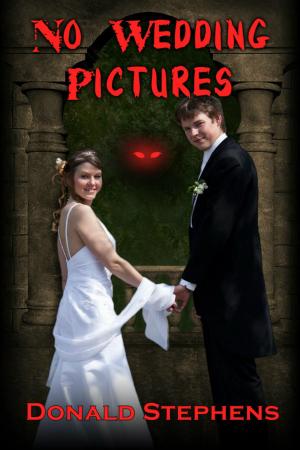Cover of the book No Wedding Pictures by Michael J. Totten