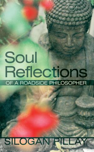 Cover of the book Soul Reflections by Luciano José