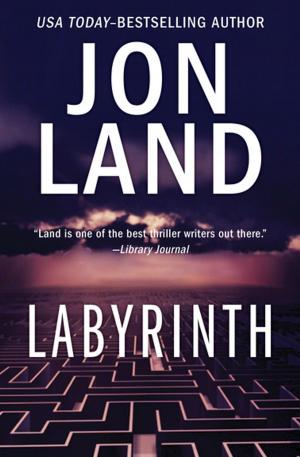 Cover of the book Labyrinth by Joan Aiken