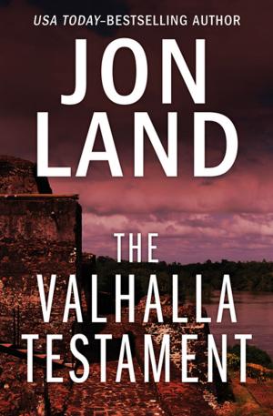 Book cover of The Valhalla Testament